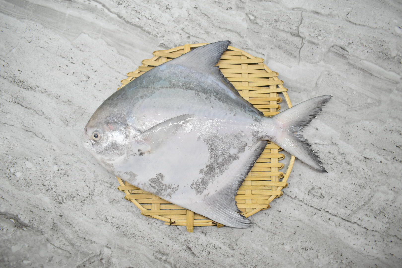 fresh seafood delivery singapore