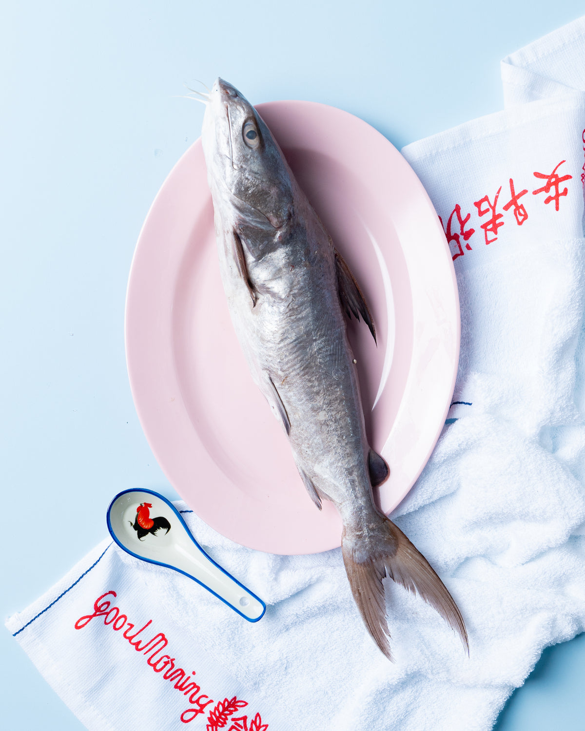 ikan duri singapore