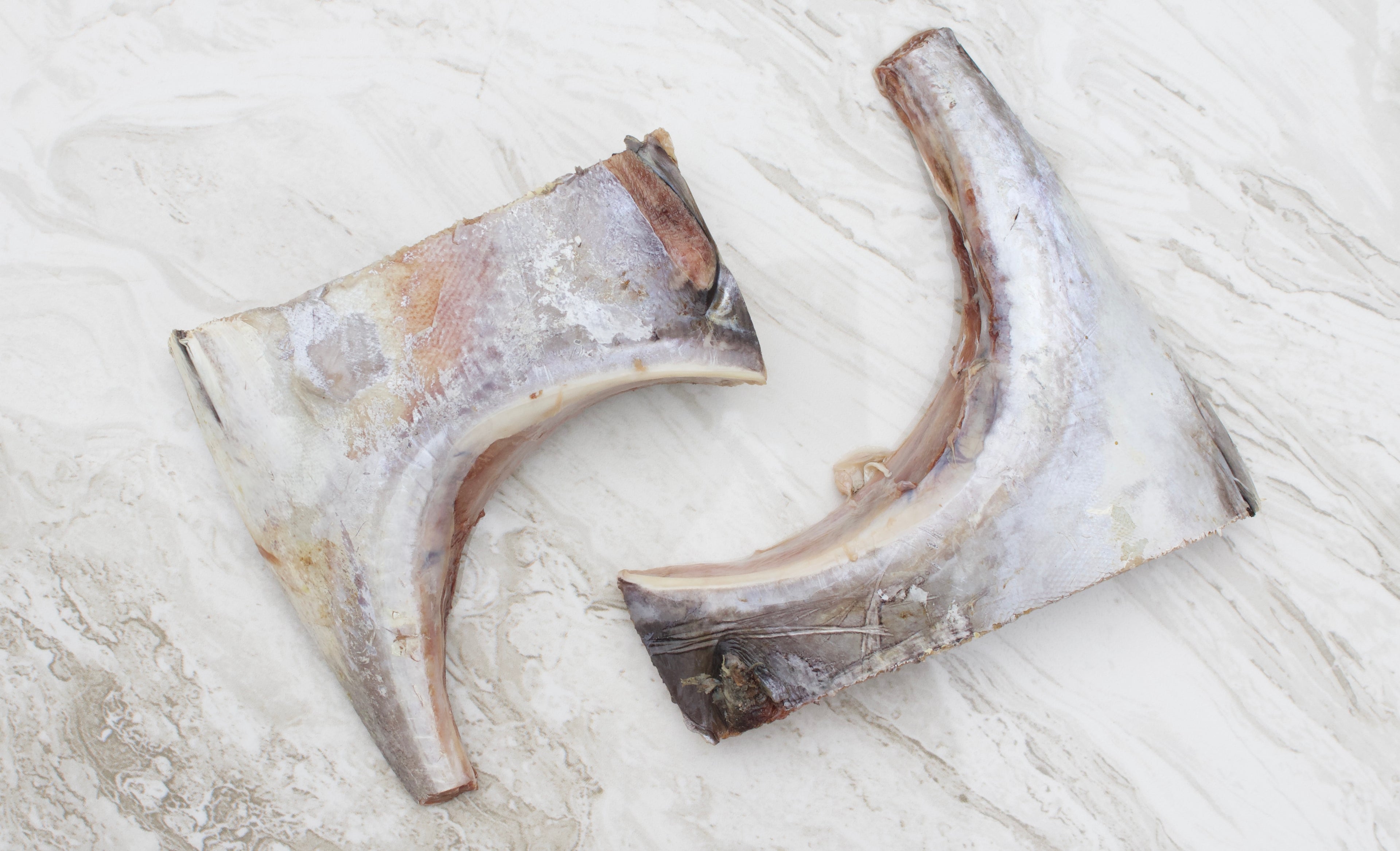 singapore online seafood delivery tuna Kama