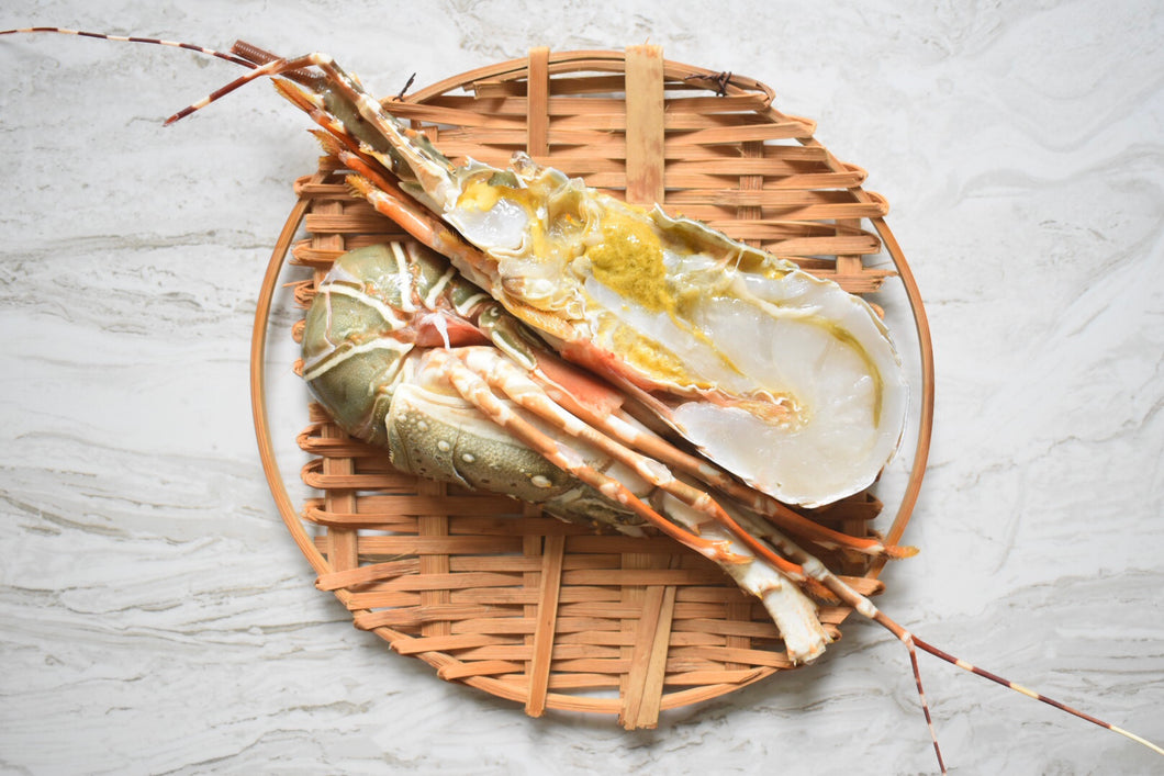 Lobster | 龙虾 |