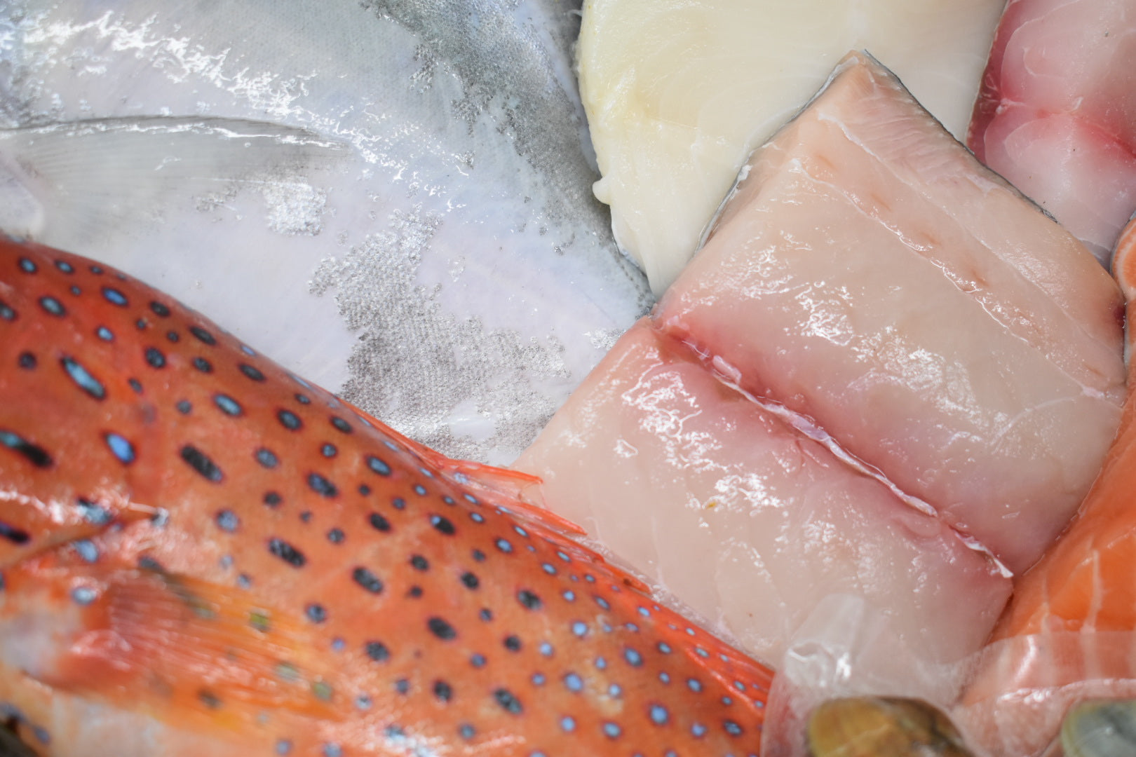 Singapore seafood delivery