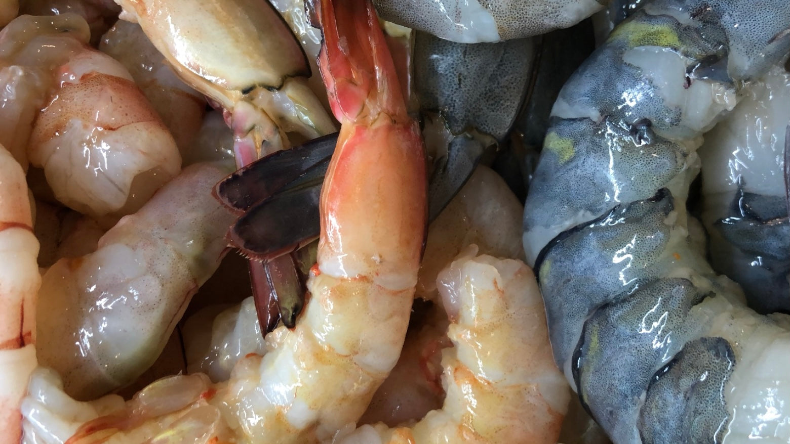 online seafood delivery singapore