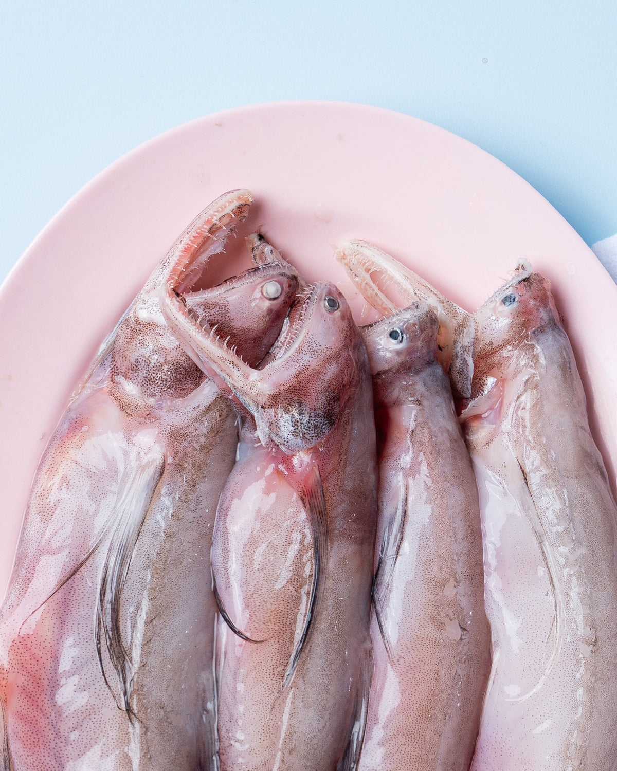 Bengali seafood in singapore