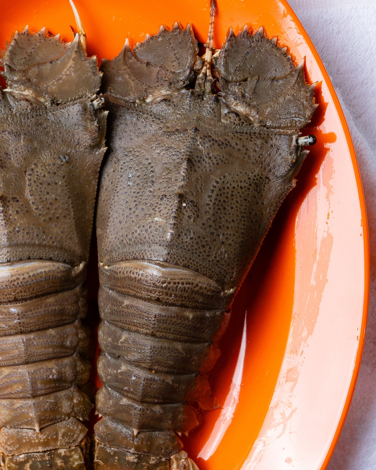 fresh prawn delivery singapore