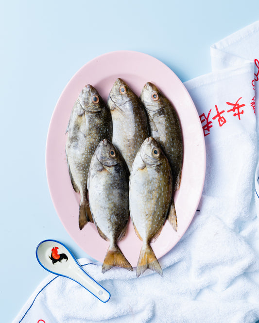 rabbitfish Singapore