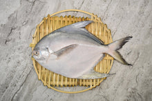 Load image into Gallery viewer, online seafood delivery for White Pomfret |白鲳鱼| in singapore
