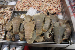 fresh Crayfish 虾婆 singapore
