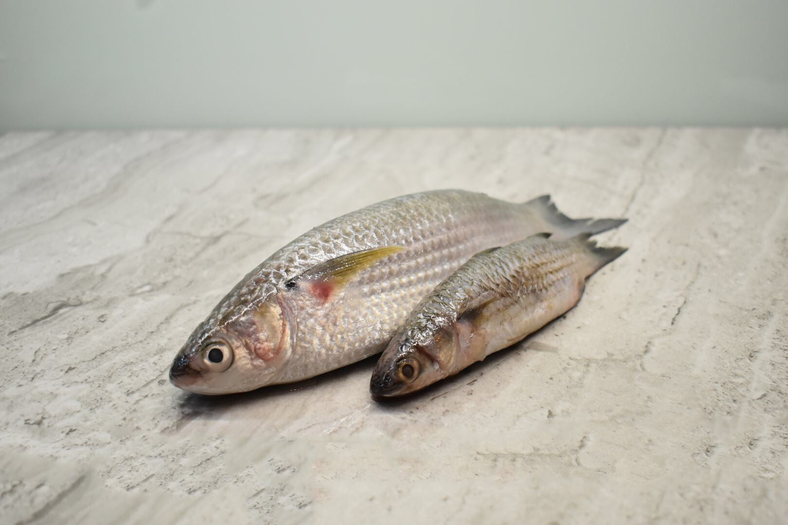 Parshe in singapore for delivery