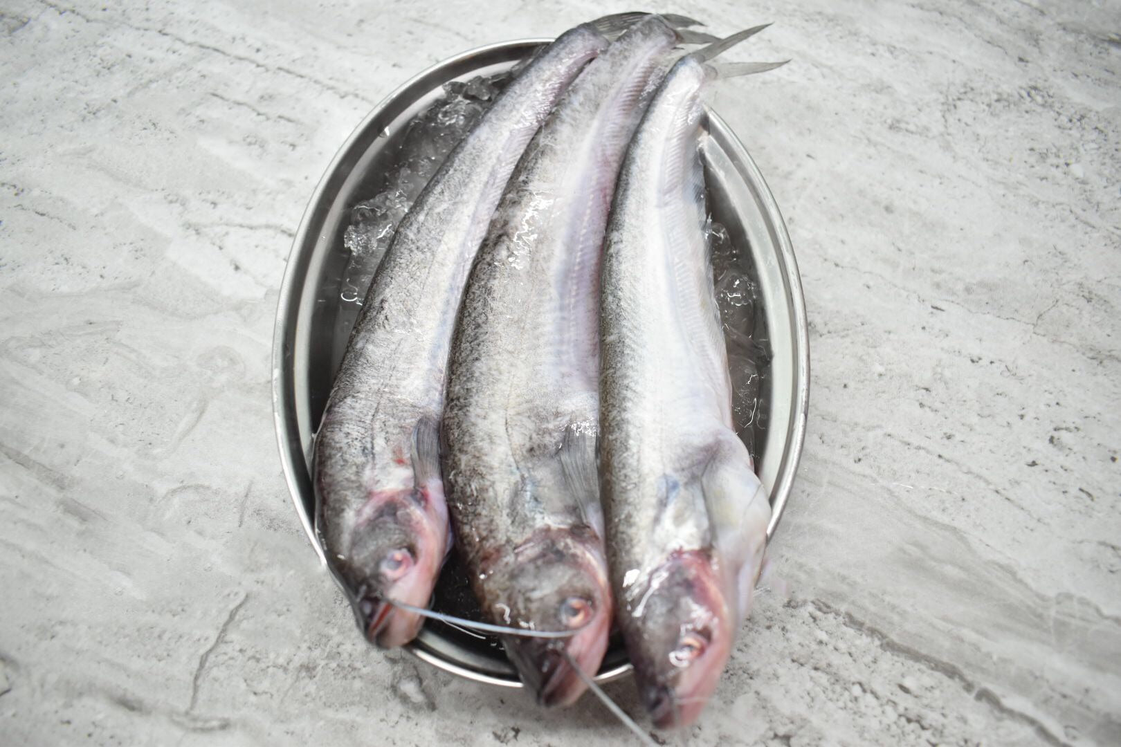 Pabda in singapore delivery