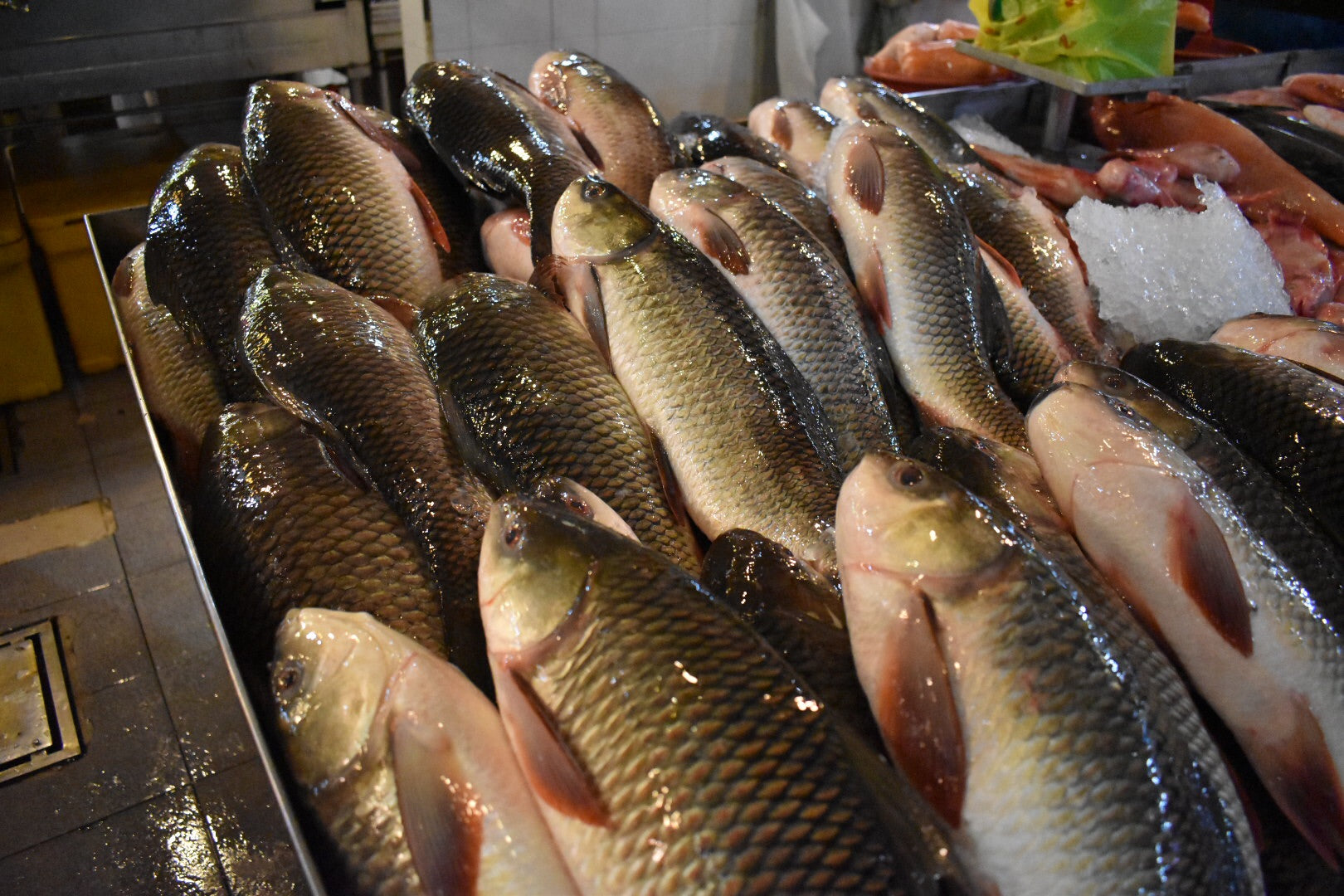 rohu rui in singapore for delivery