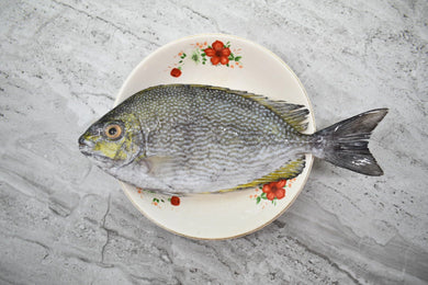 singapore seafood delivery for Rabbitfish |白肚鱼| [CNY]