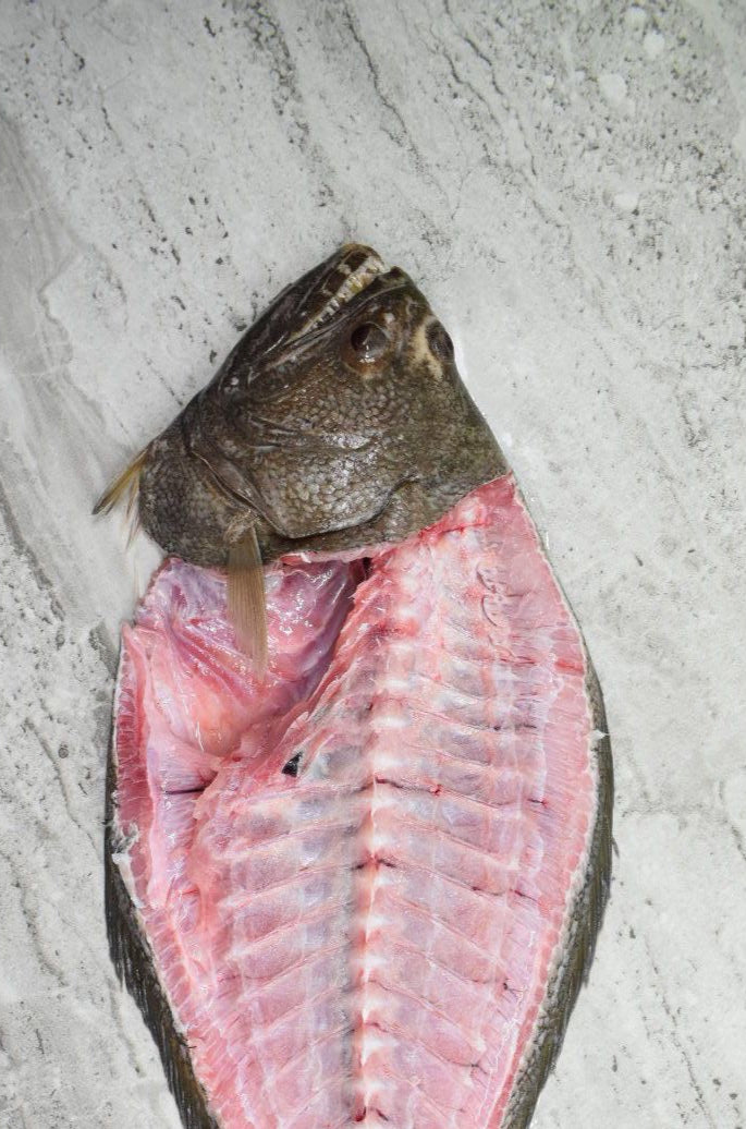 singapore seafood delivery for Halibut | 比目鱼|