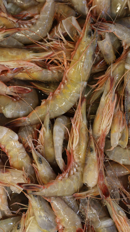 How to Choose Prawns for Your Next Meal
