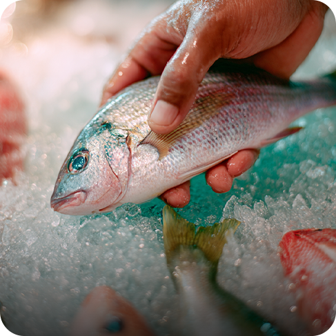 5 TIPS WHEN PICKING YOUR SEAFOOD