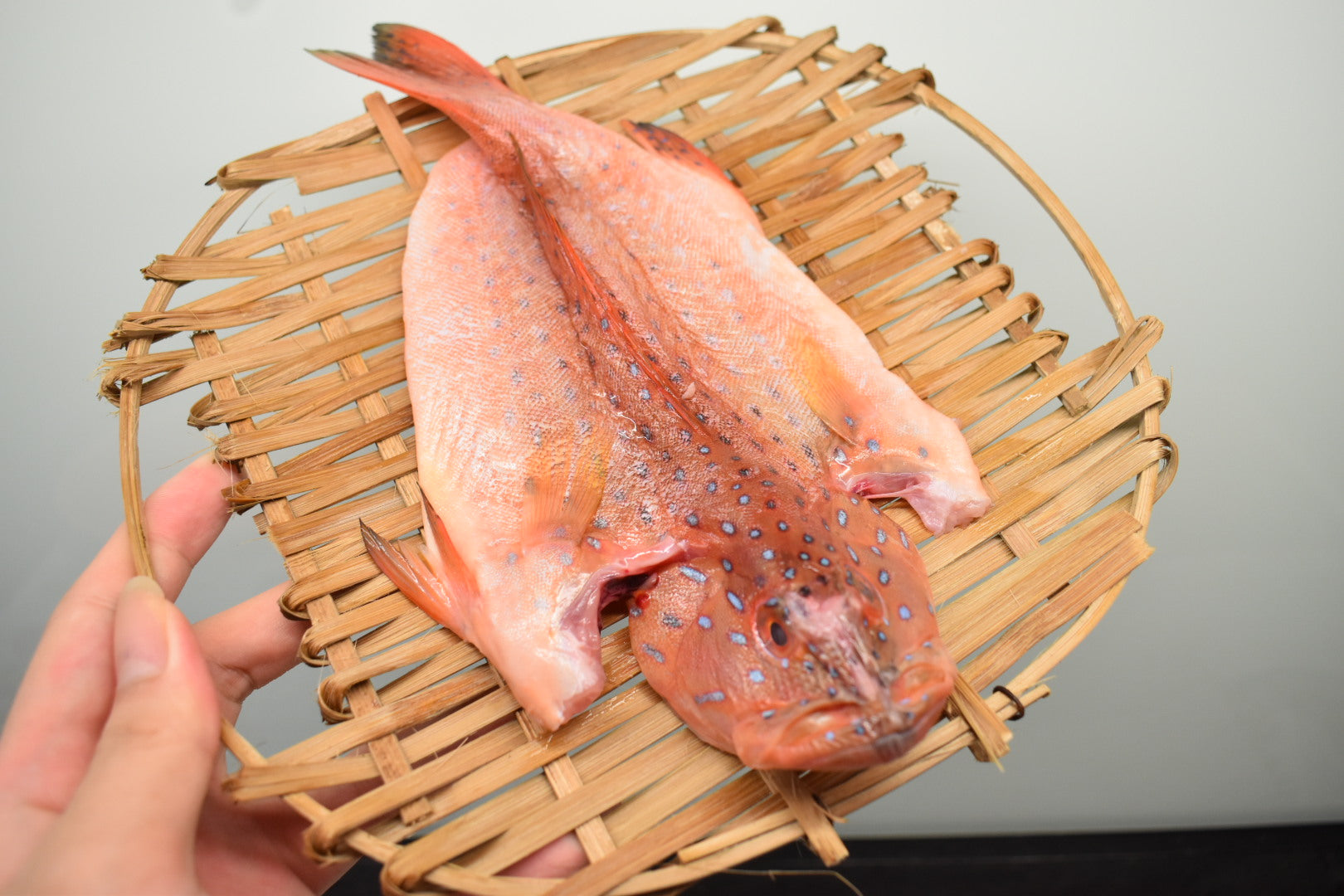 whole fish