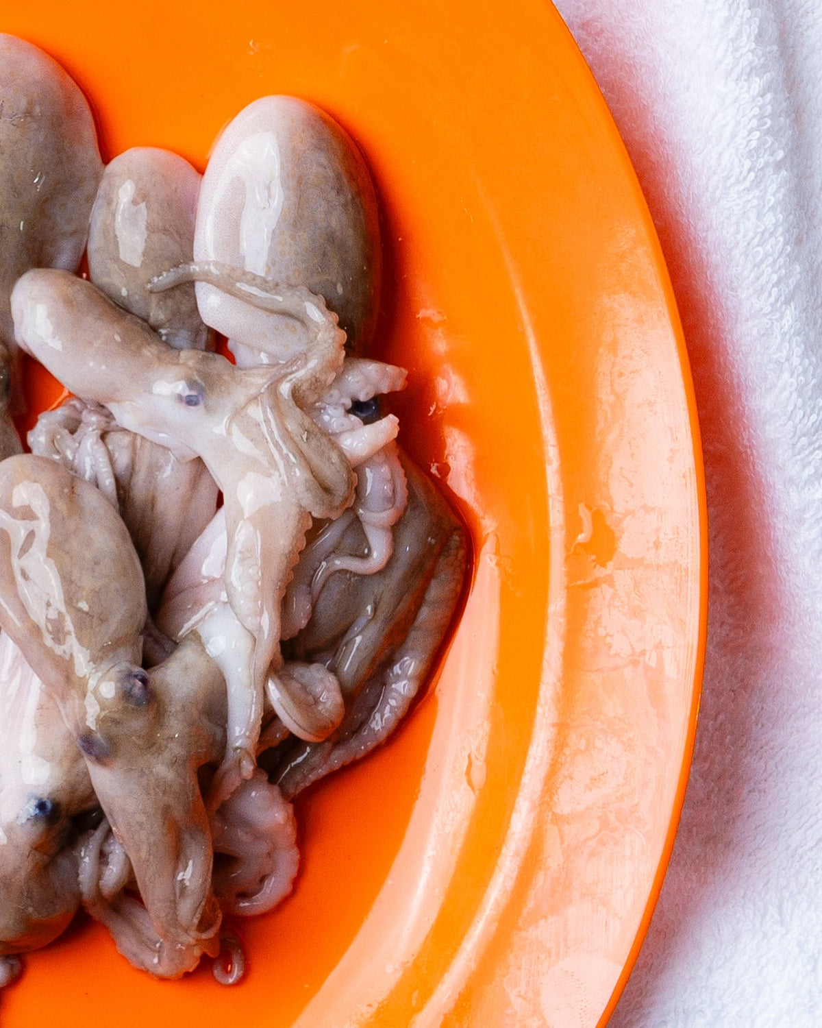 buy seafood online