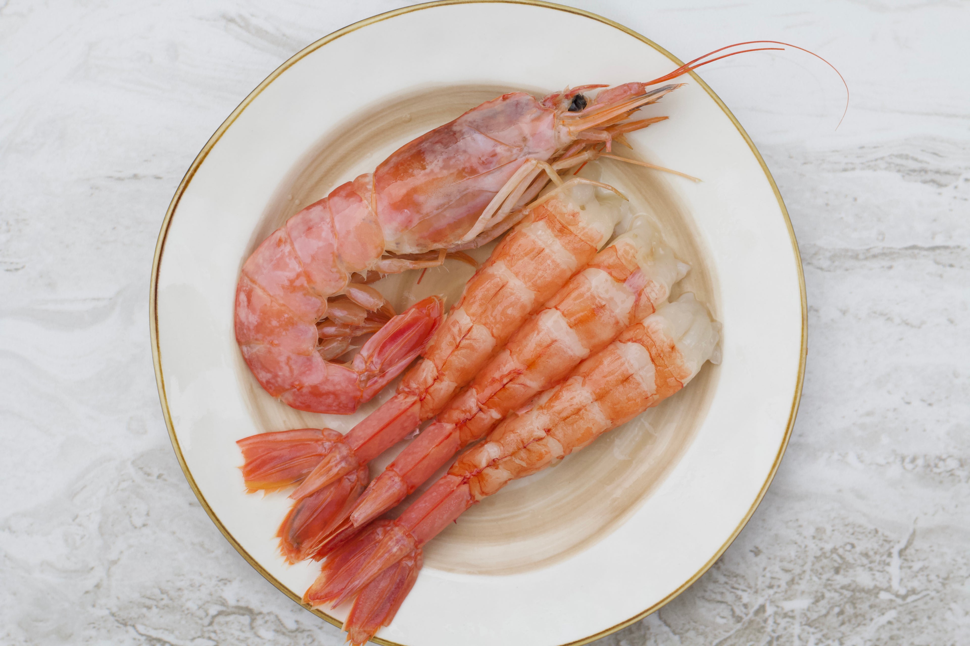 Aka ebi [ sashimi-grade ]