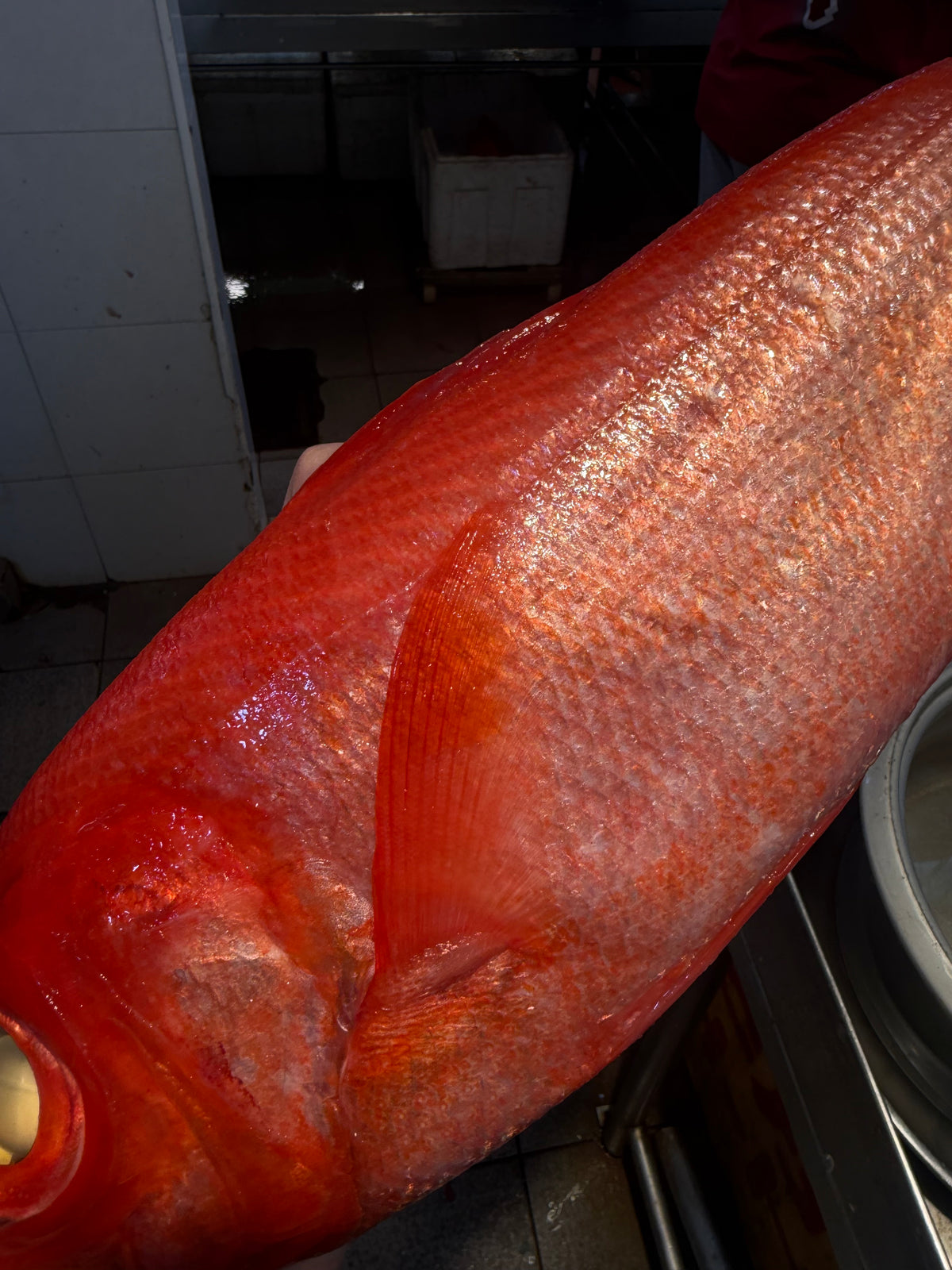 Japanese seafood in singapore