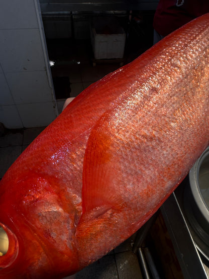 Japanese seafood in singapore