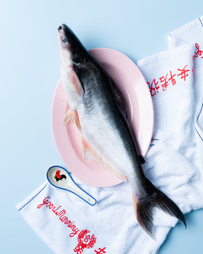 ikan patin singapore