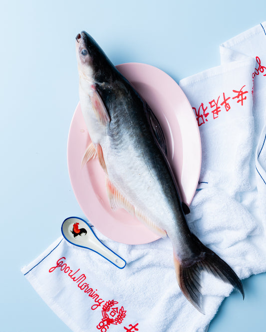 ikan patin singapore