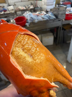 Online seafood delivery mud crab claw