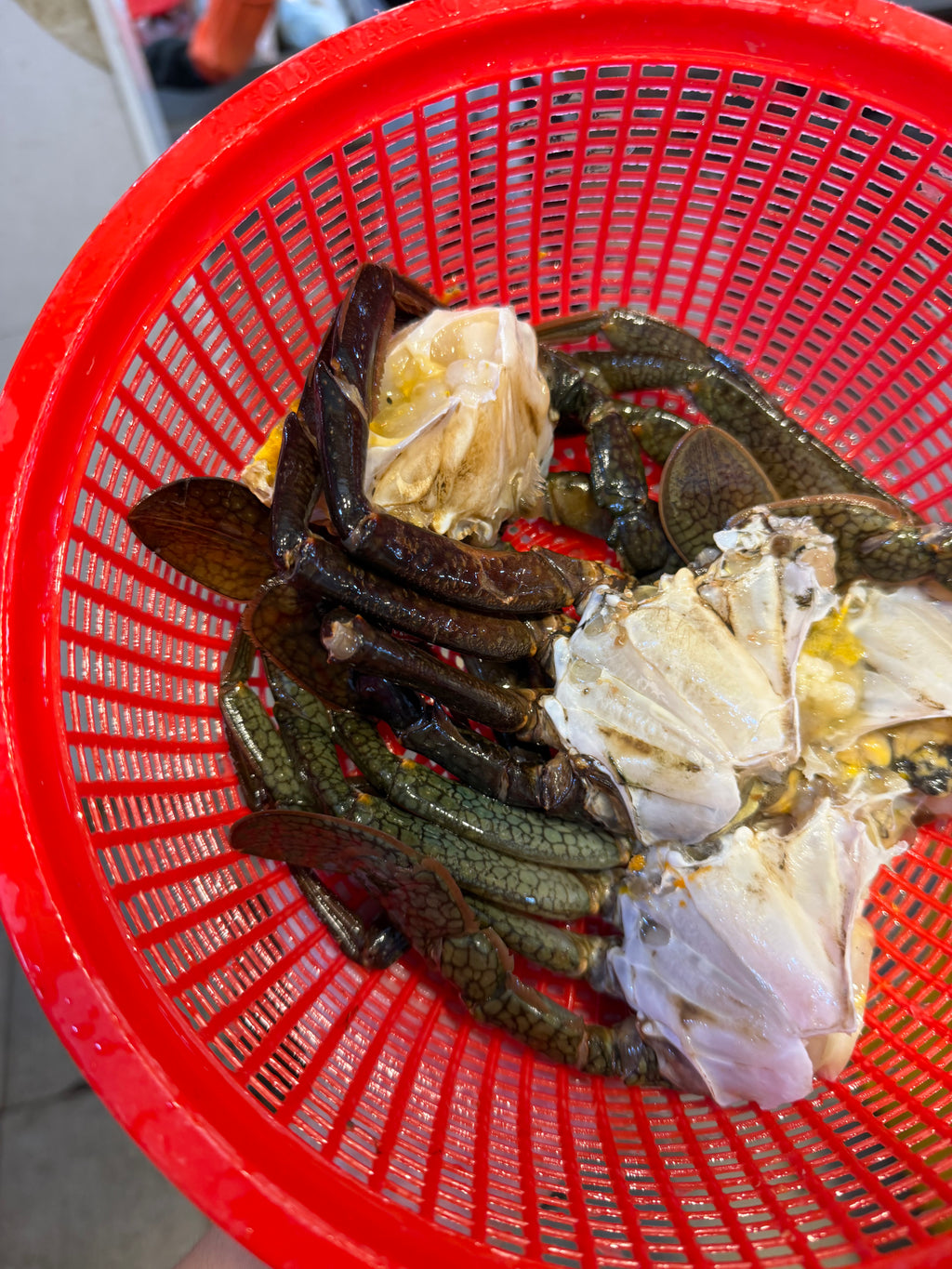 Mud crab body