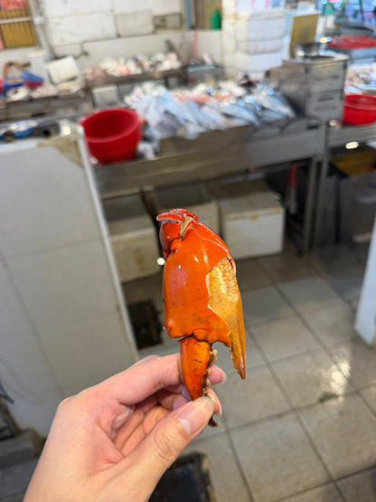 Singapore mud crab claw