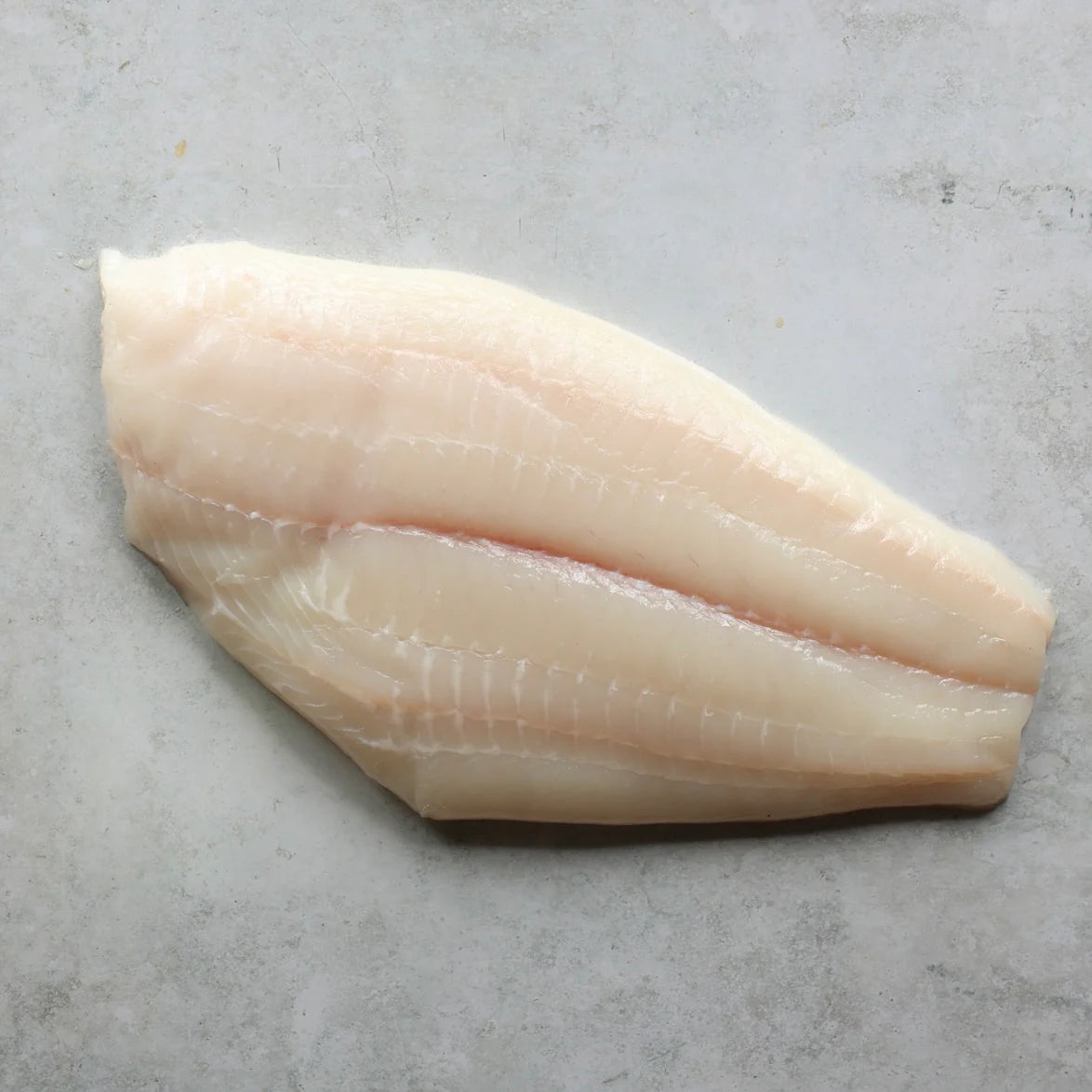Halibut fillet with skin