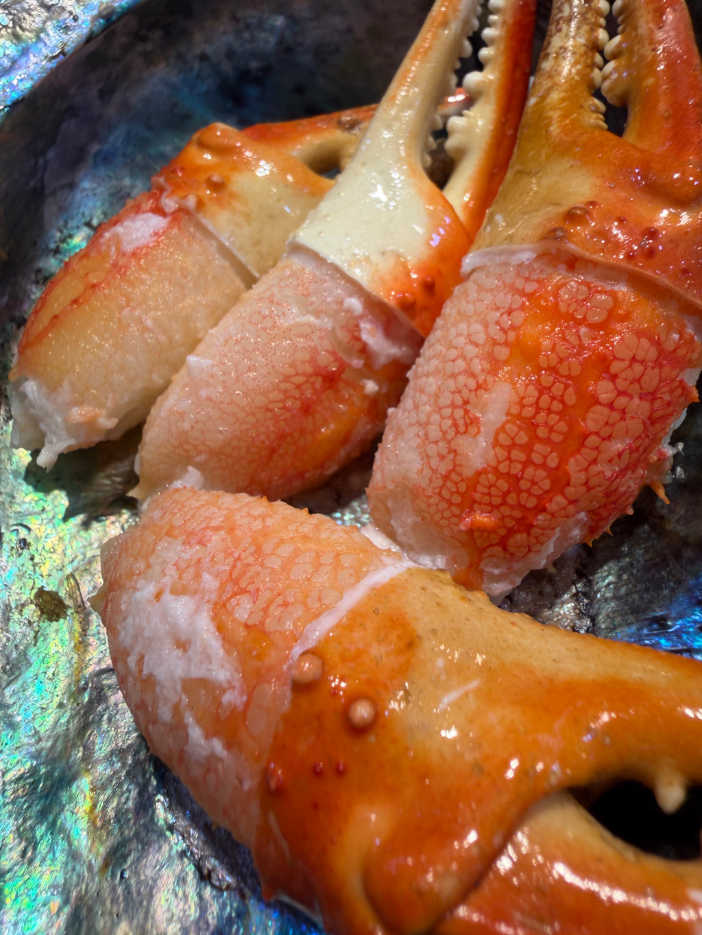Snow crab claw