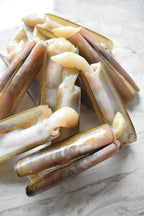 Bamboo clam |竹蛏| in singapore