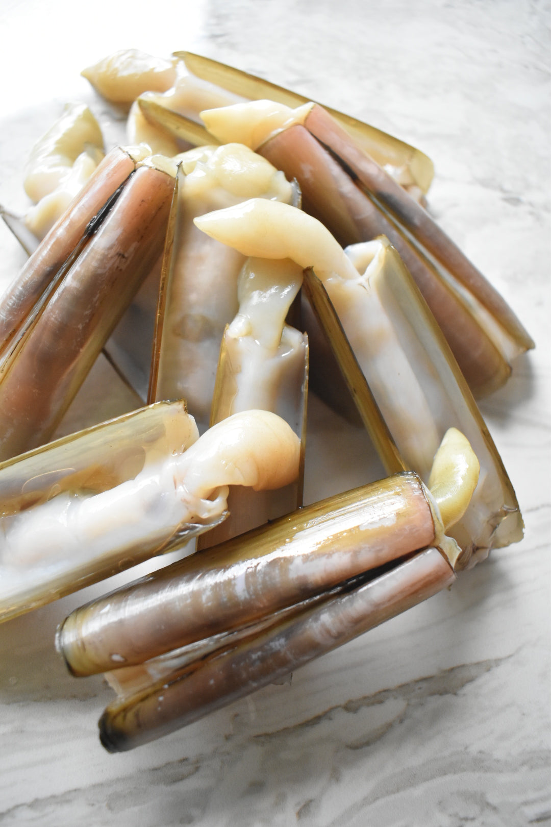 Bamboo clam |竹蛏| in singapore