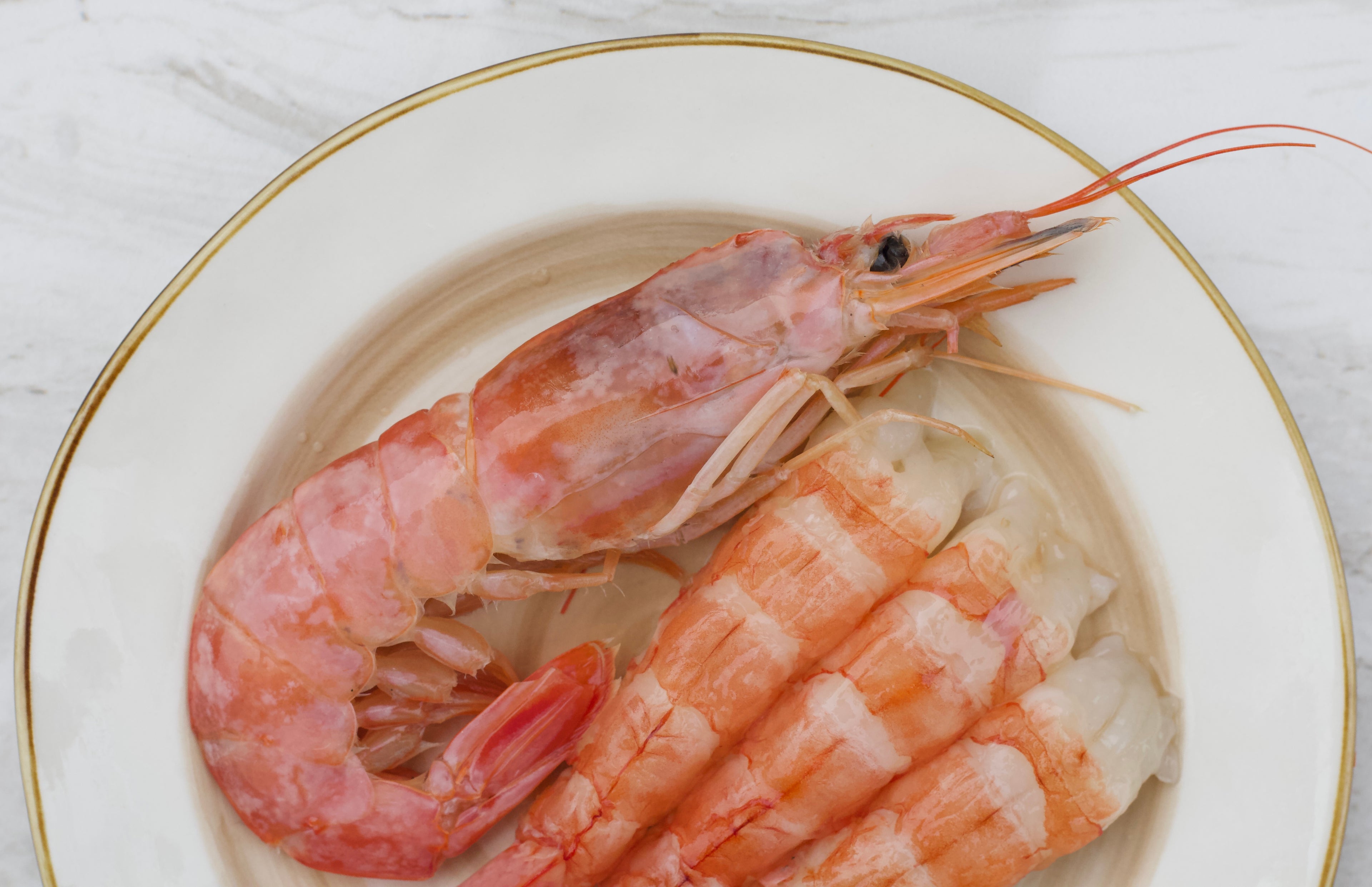 Aka ebi [ sashimi-grade ]