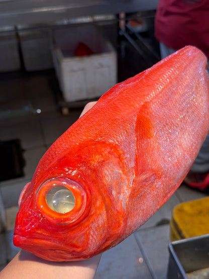 sashimi grade seafood singapore delivery
