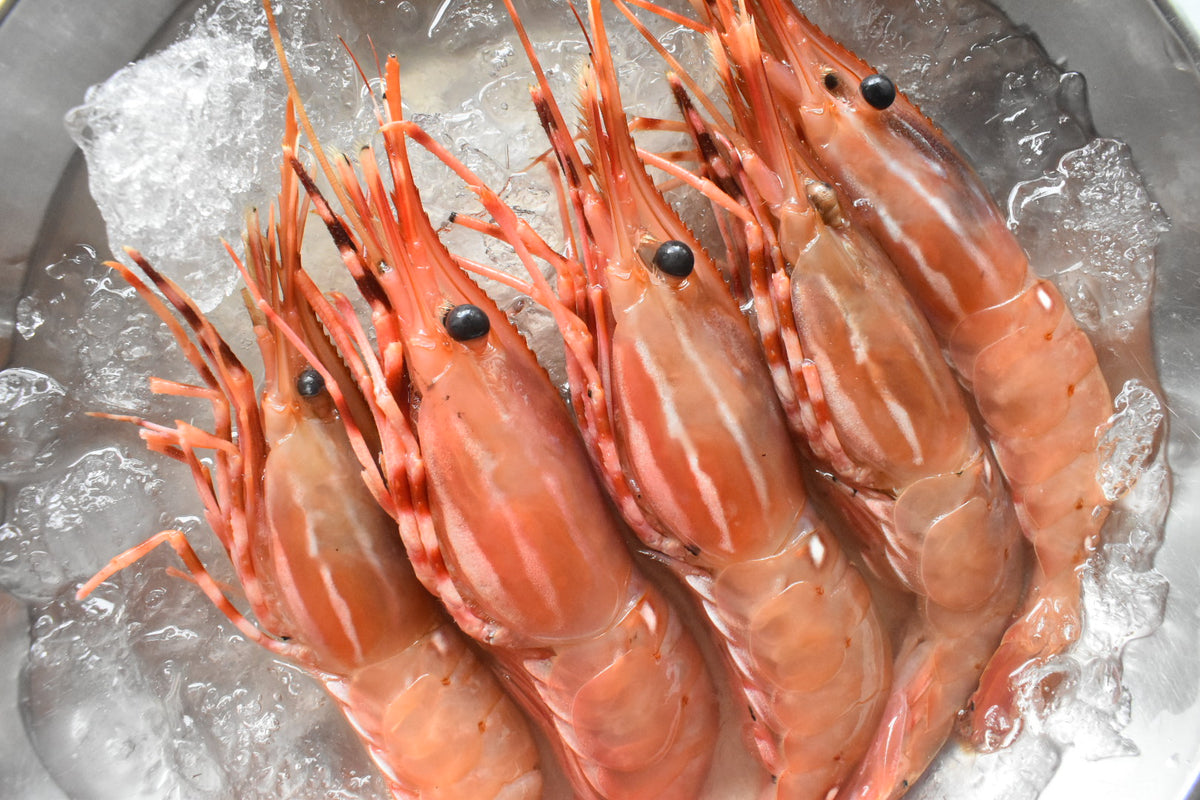 seafood supplier in singapore