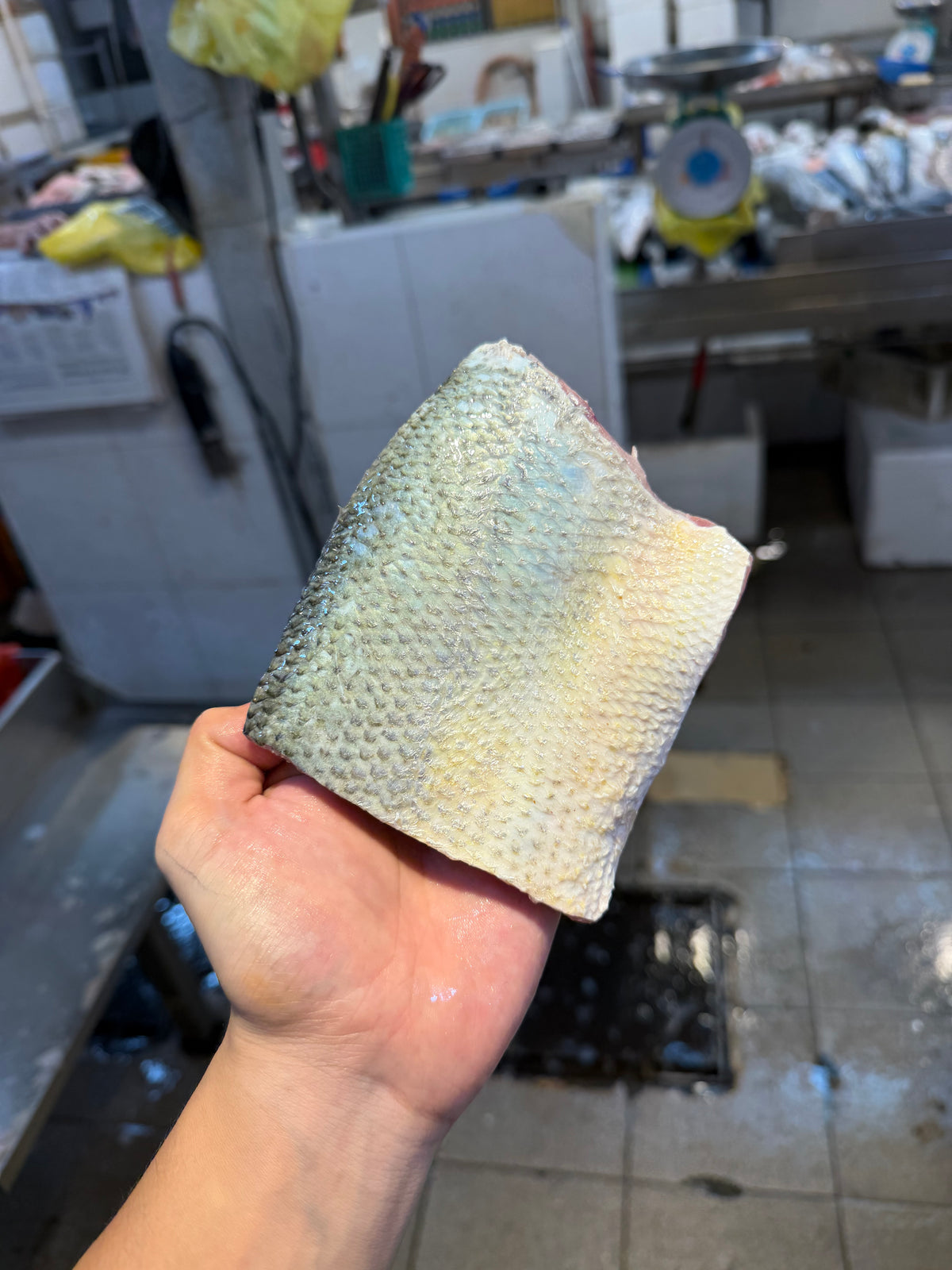 baby thread fin singapore