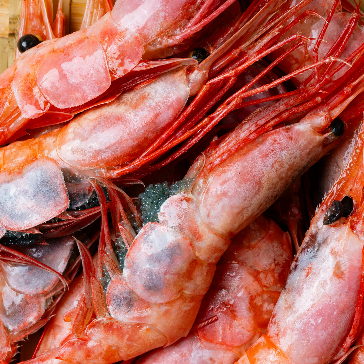 fresh seafood delivery singapore