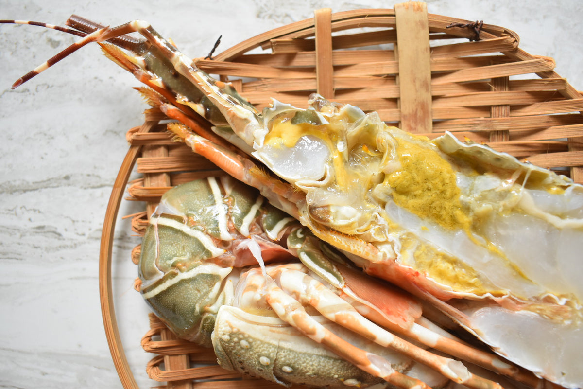 Lobster | 龙虾 |