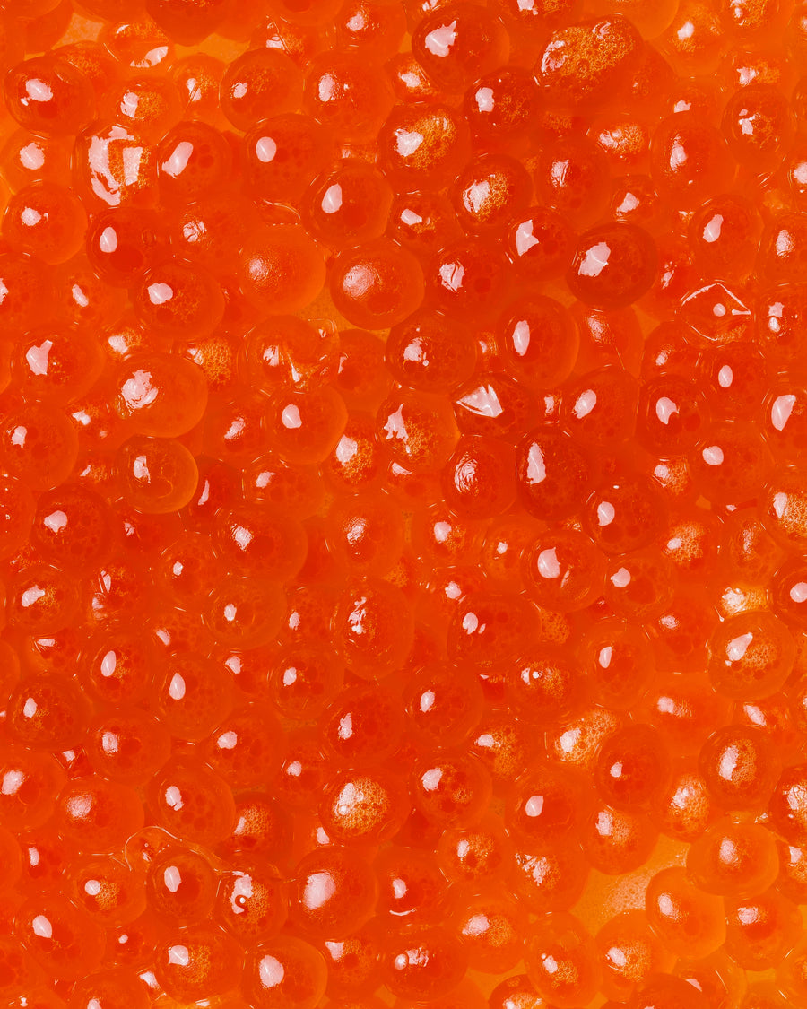 Ikura | salmon roe