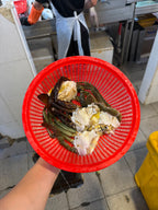 Mud crab body