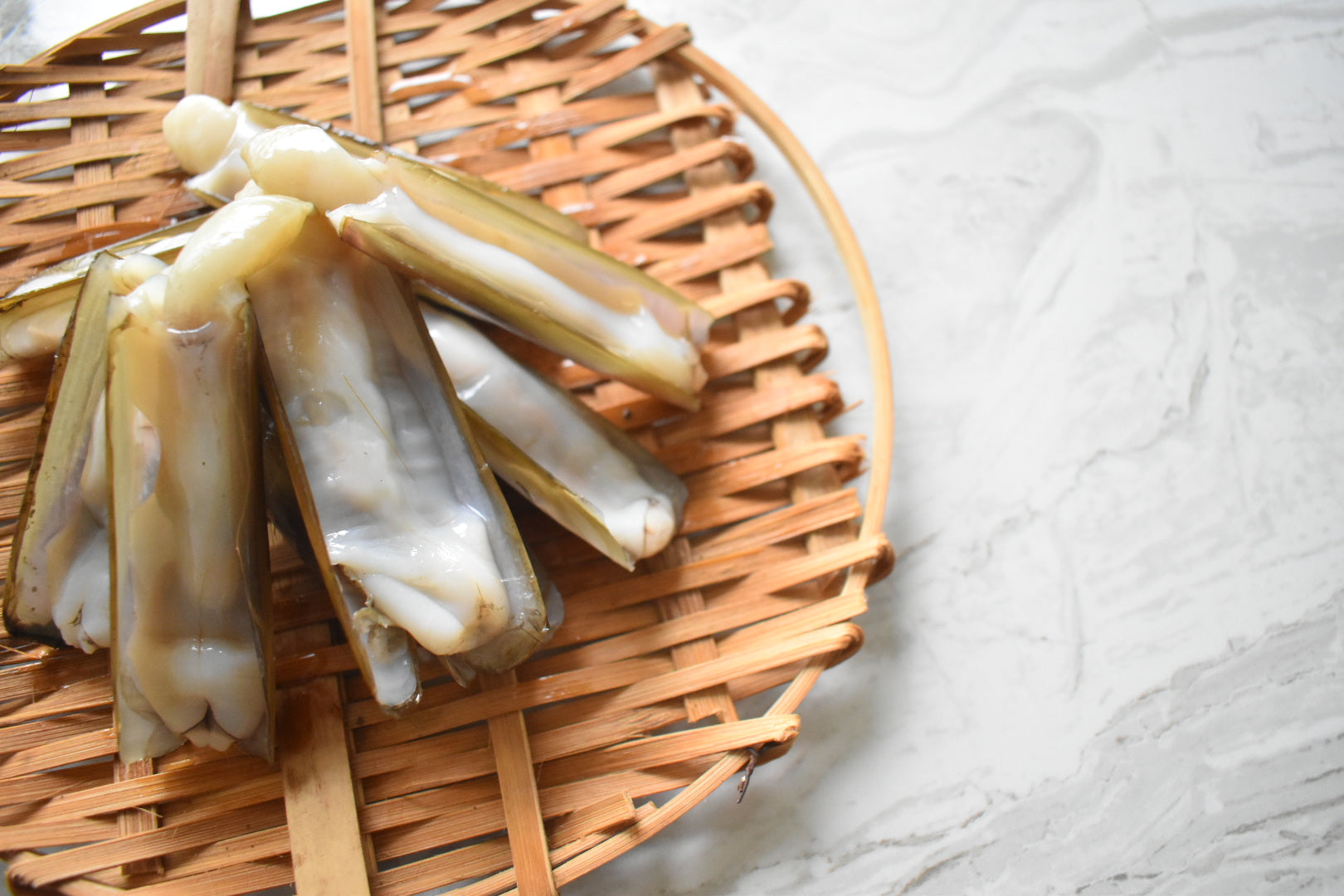 singapore Bamboo clam |竹蛏|