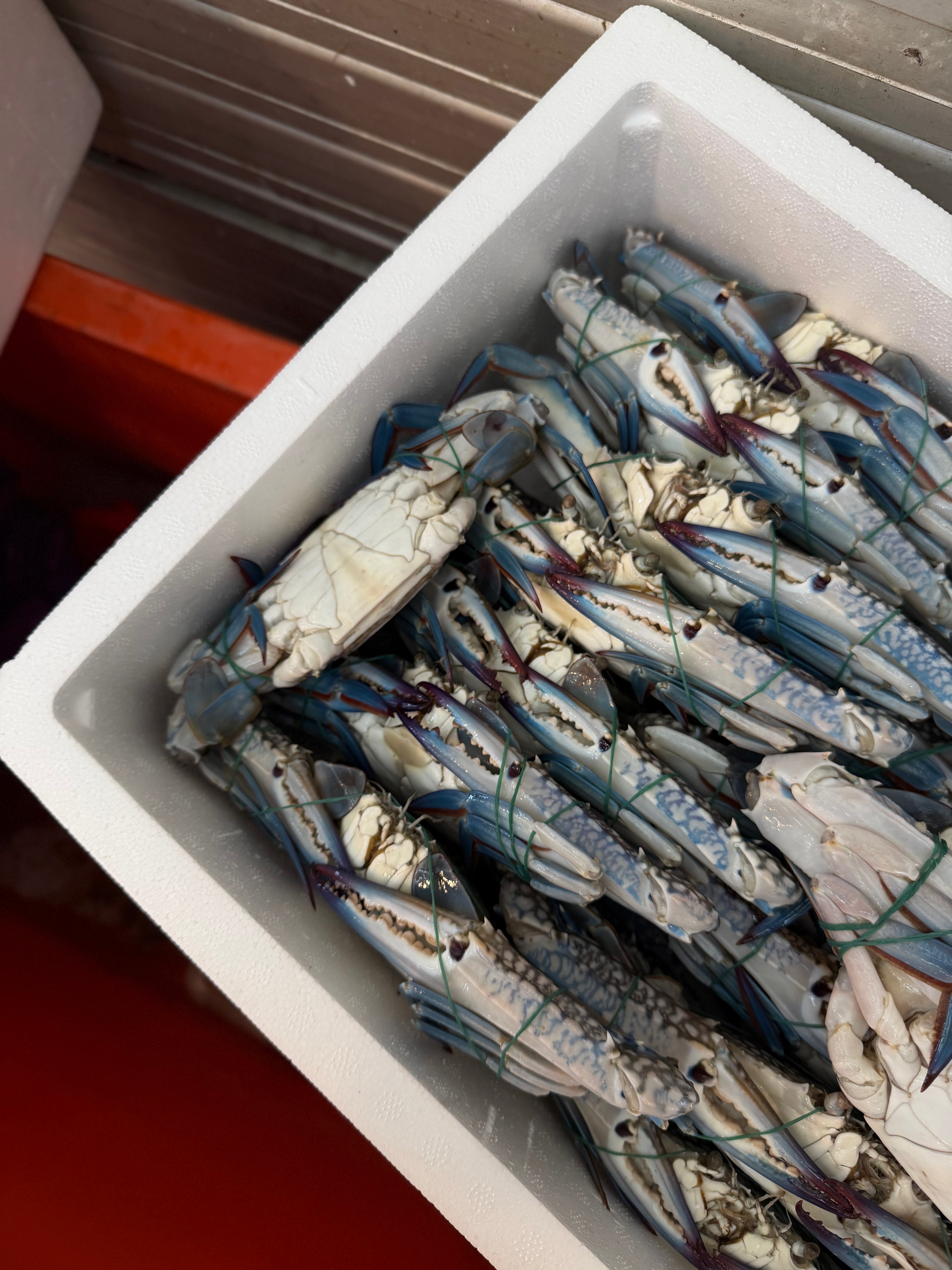 b2b seafood supplier singapore