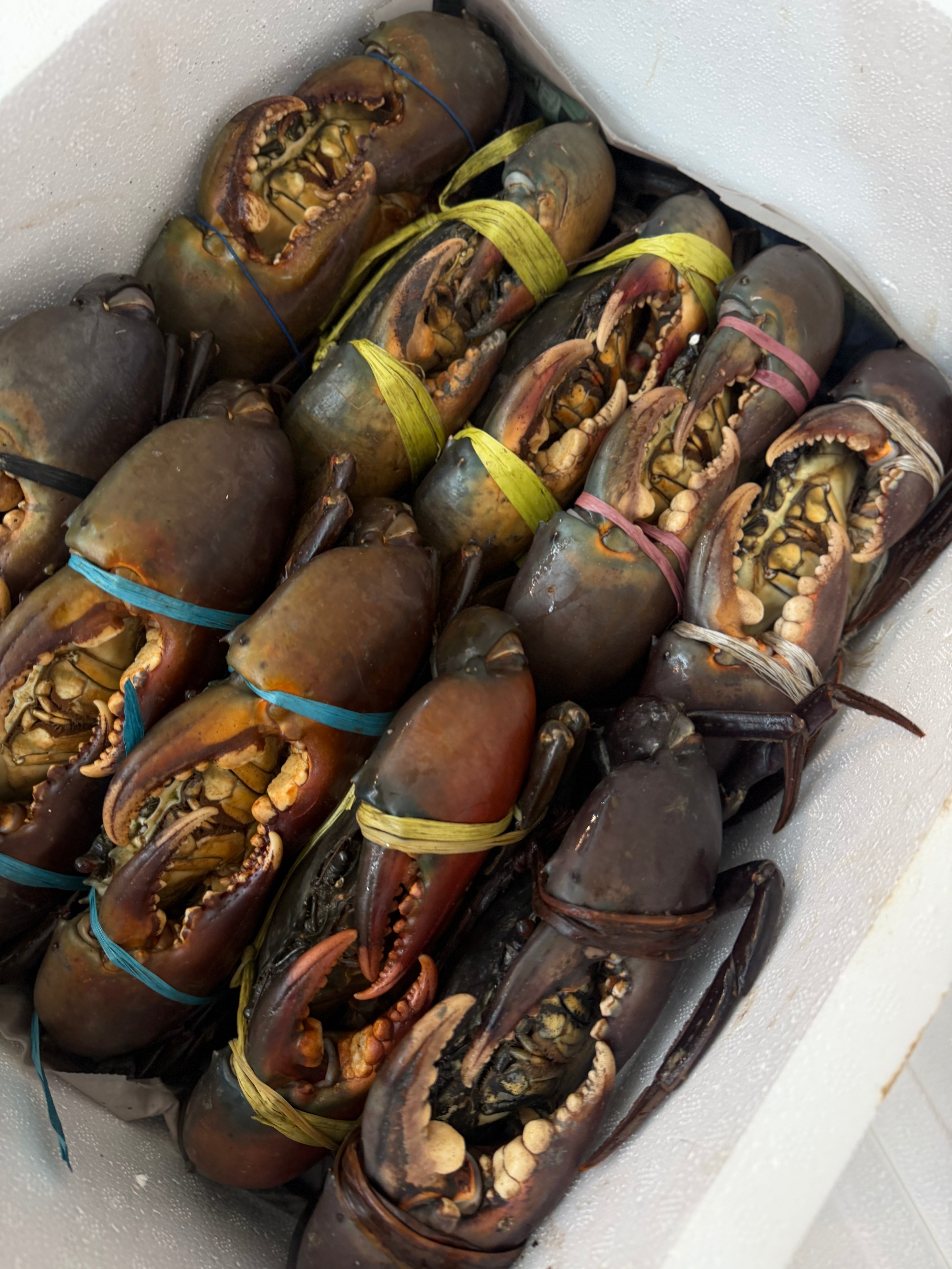 seafood supplier in singapore
