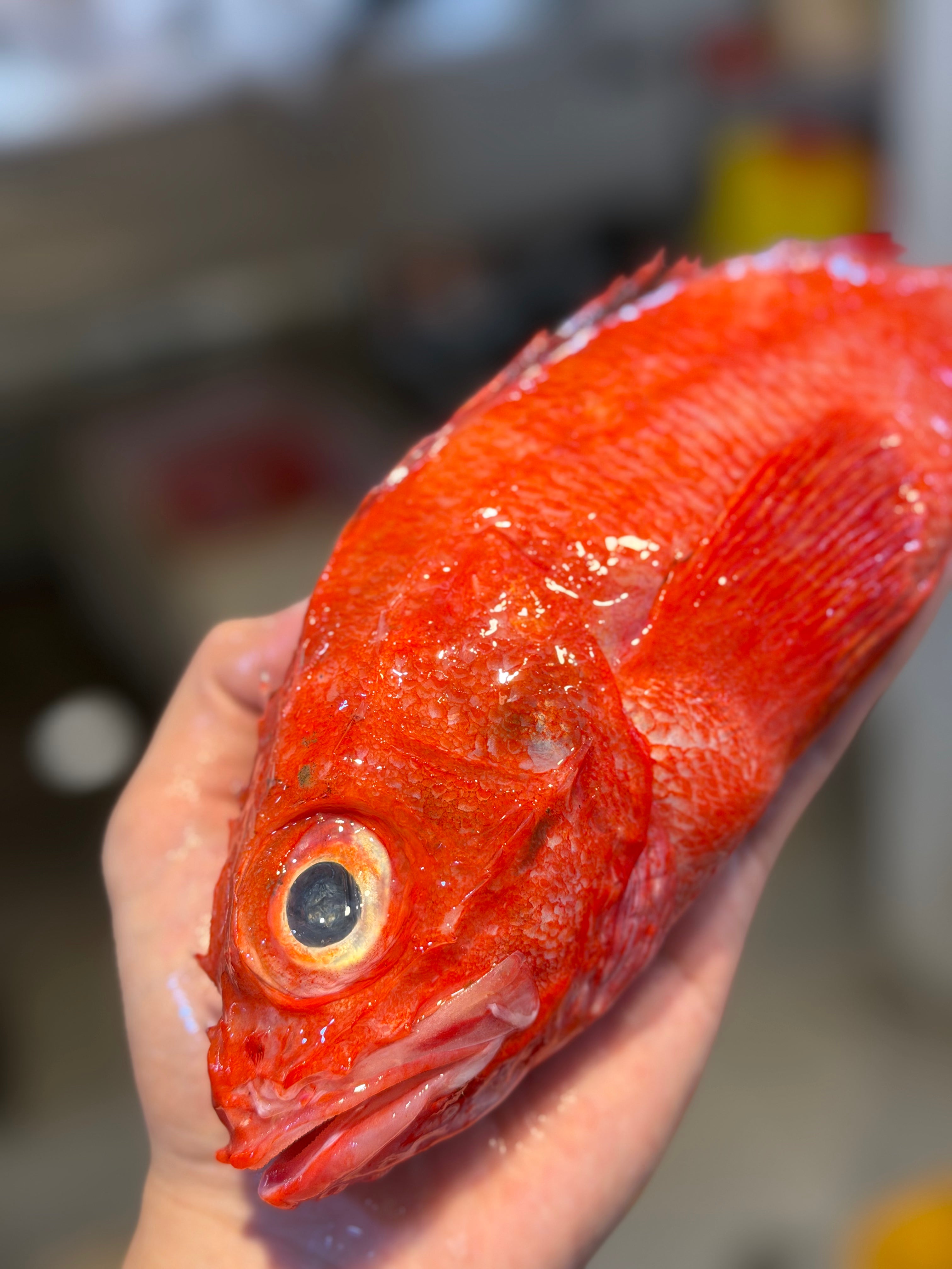 seafood supplier singapore