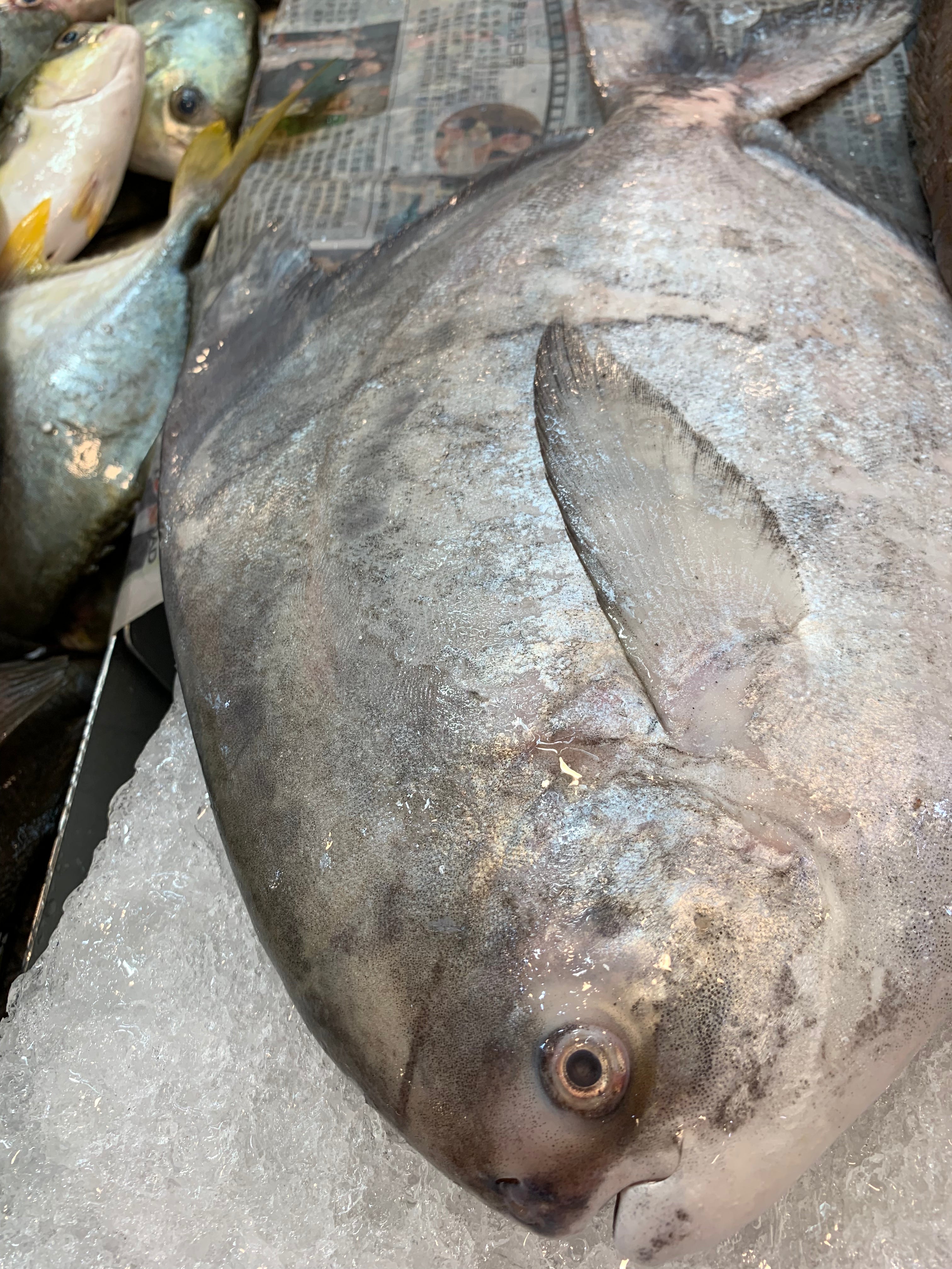 seafood supplier singapore