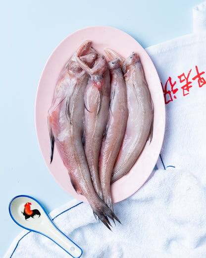 bombay duck singapore
