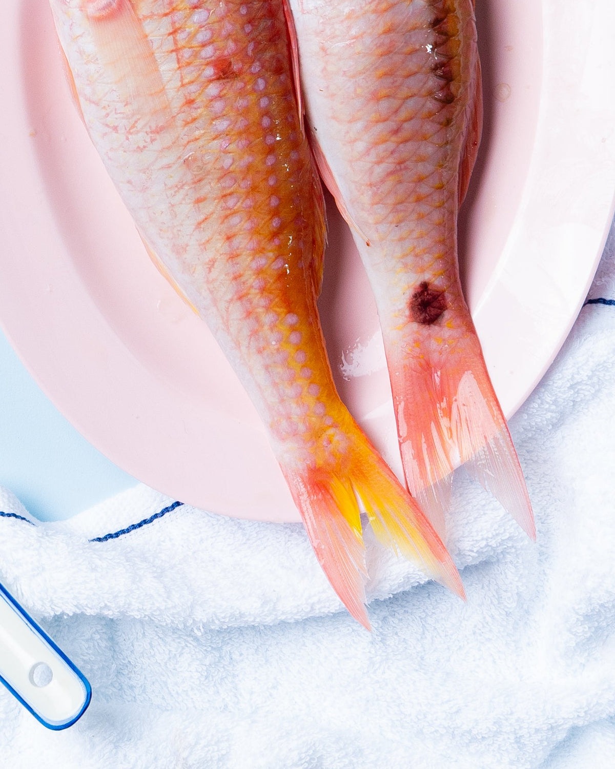 seafood supplier singapore