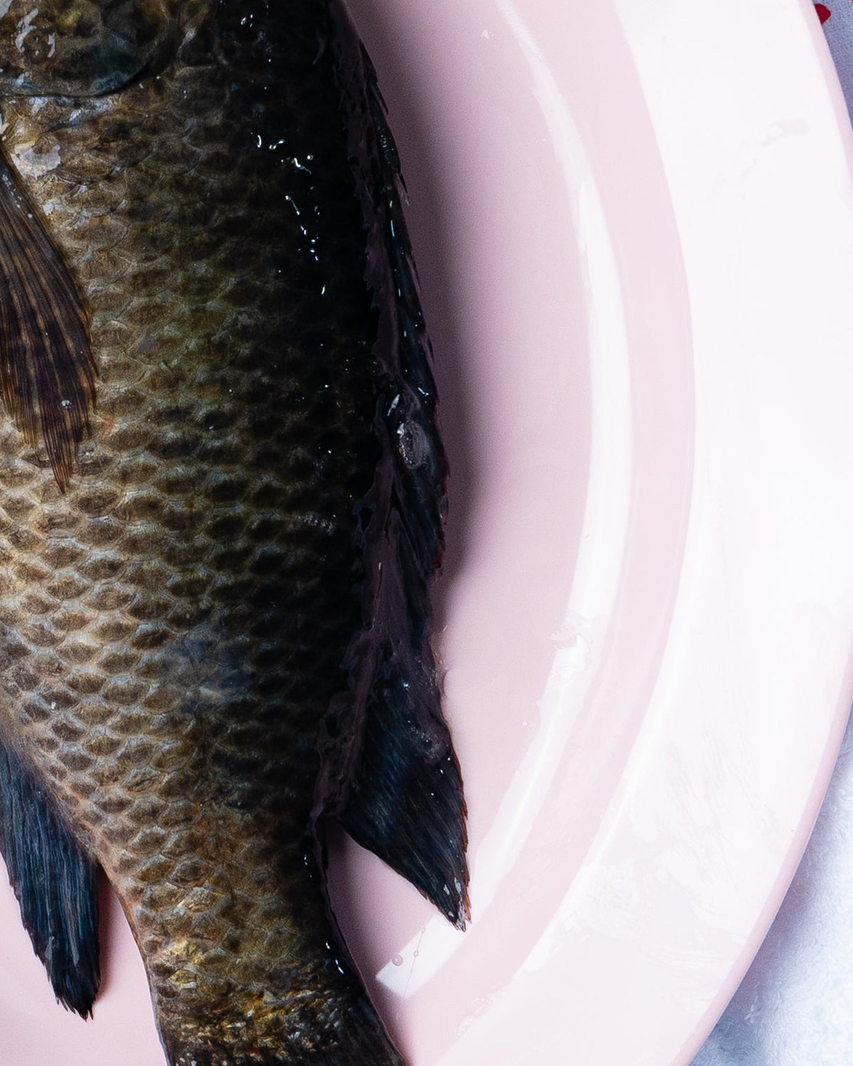 online fish delivery singapore