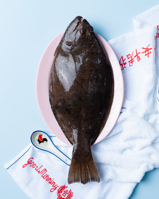 halibut in singapore