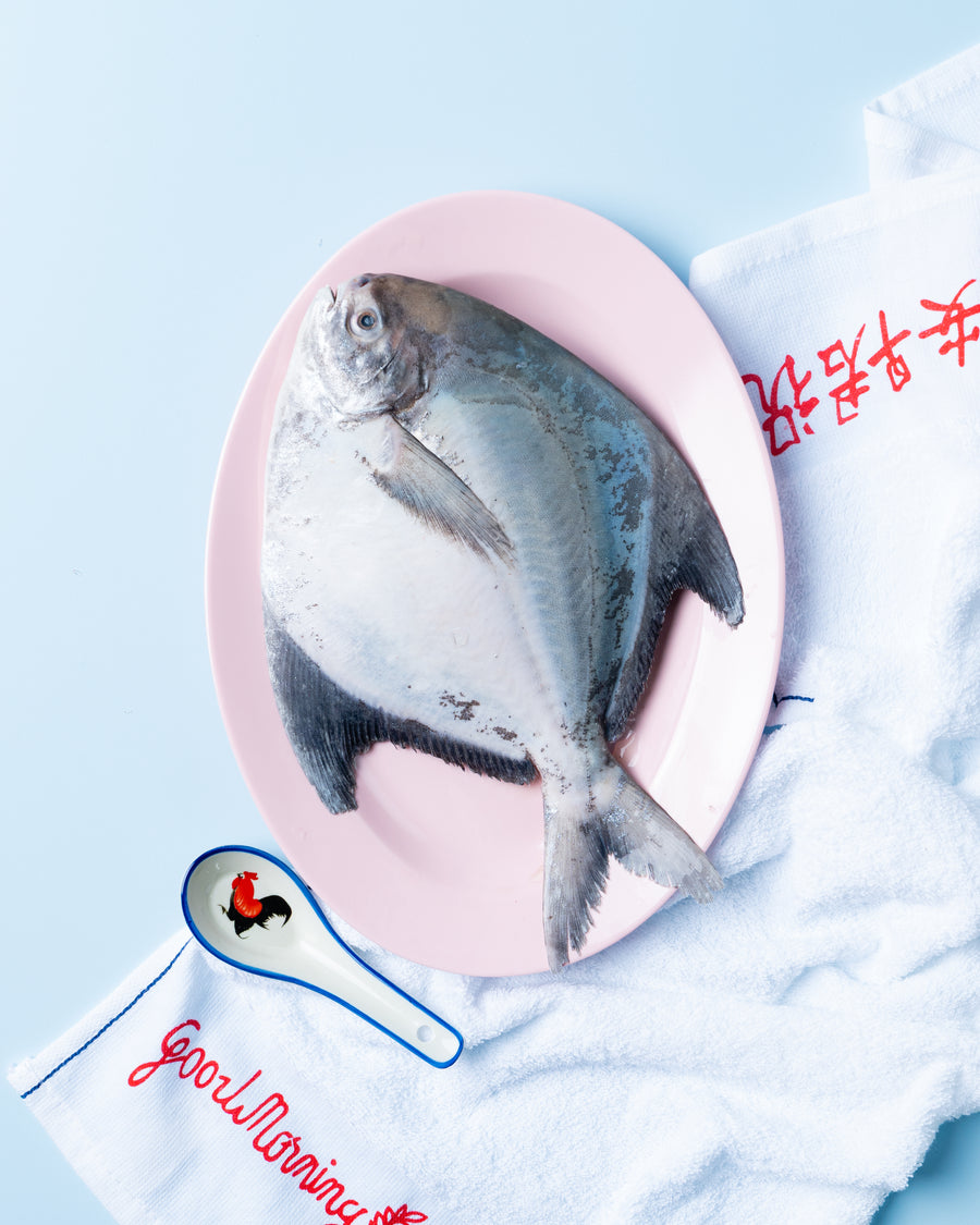 Chinese Pomfret |斗鲳鱼|
